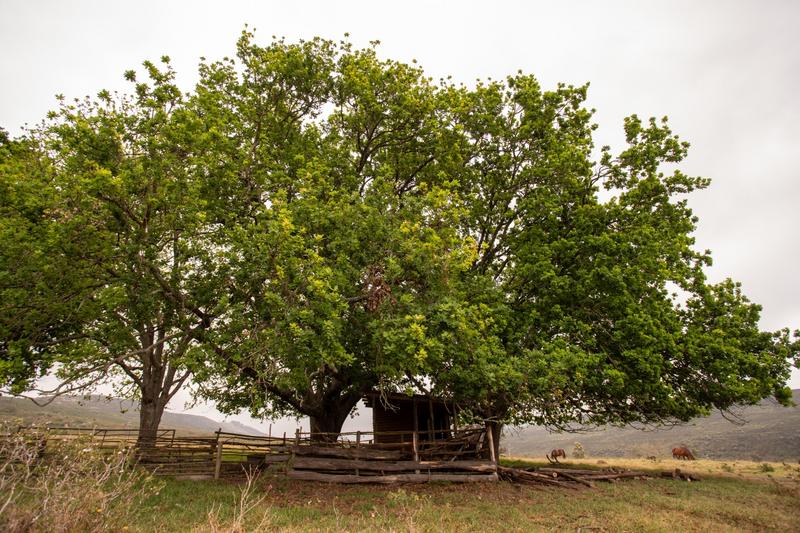 3 Bedroom Property for Sale in Plettenberg Bay Rural Western Cape